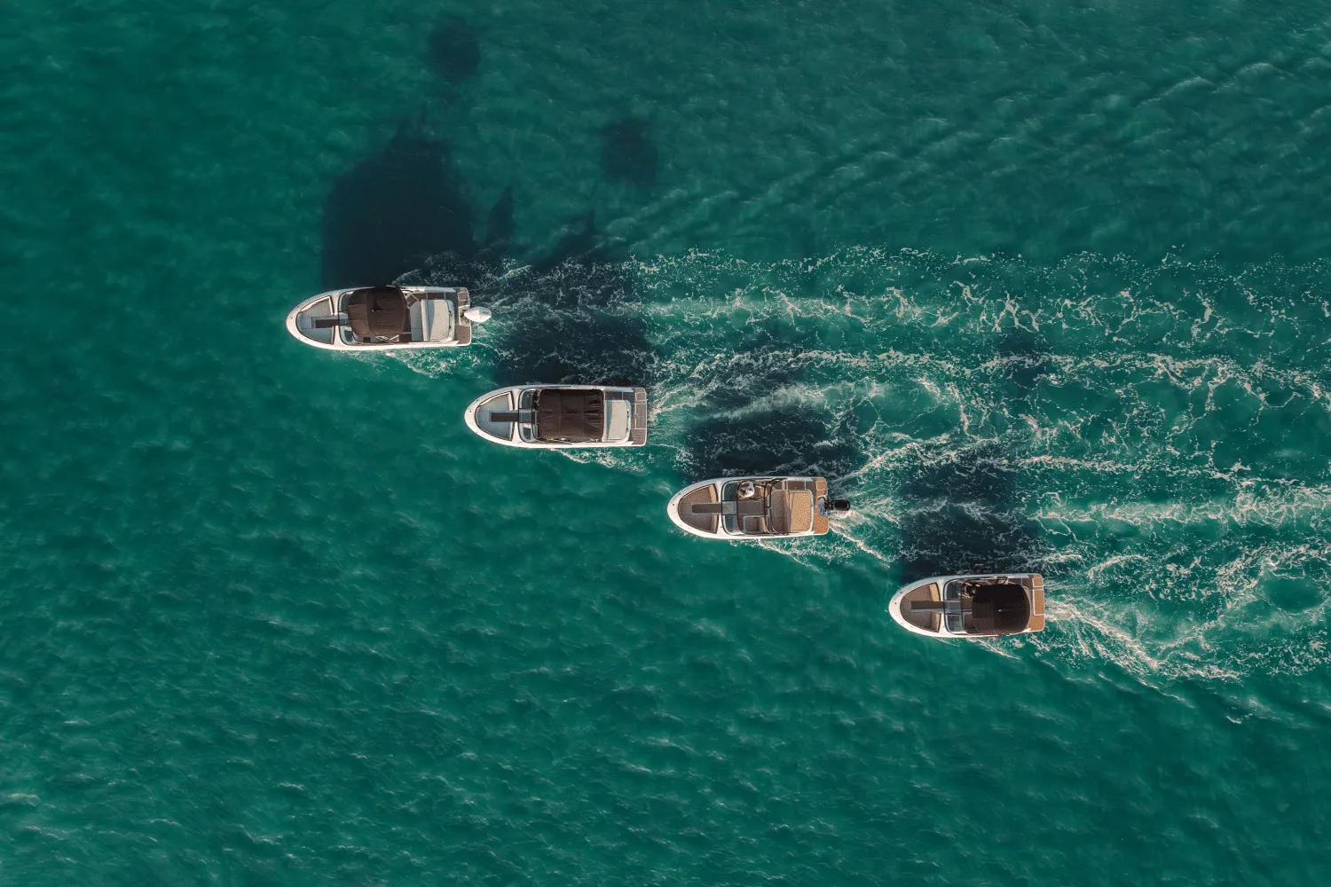 2026 Sea Ray SPX 190 Outboard Image Thumbnail #54