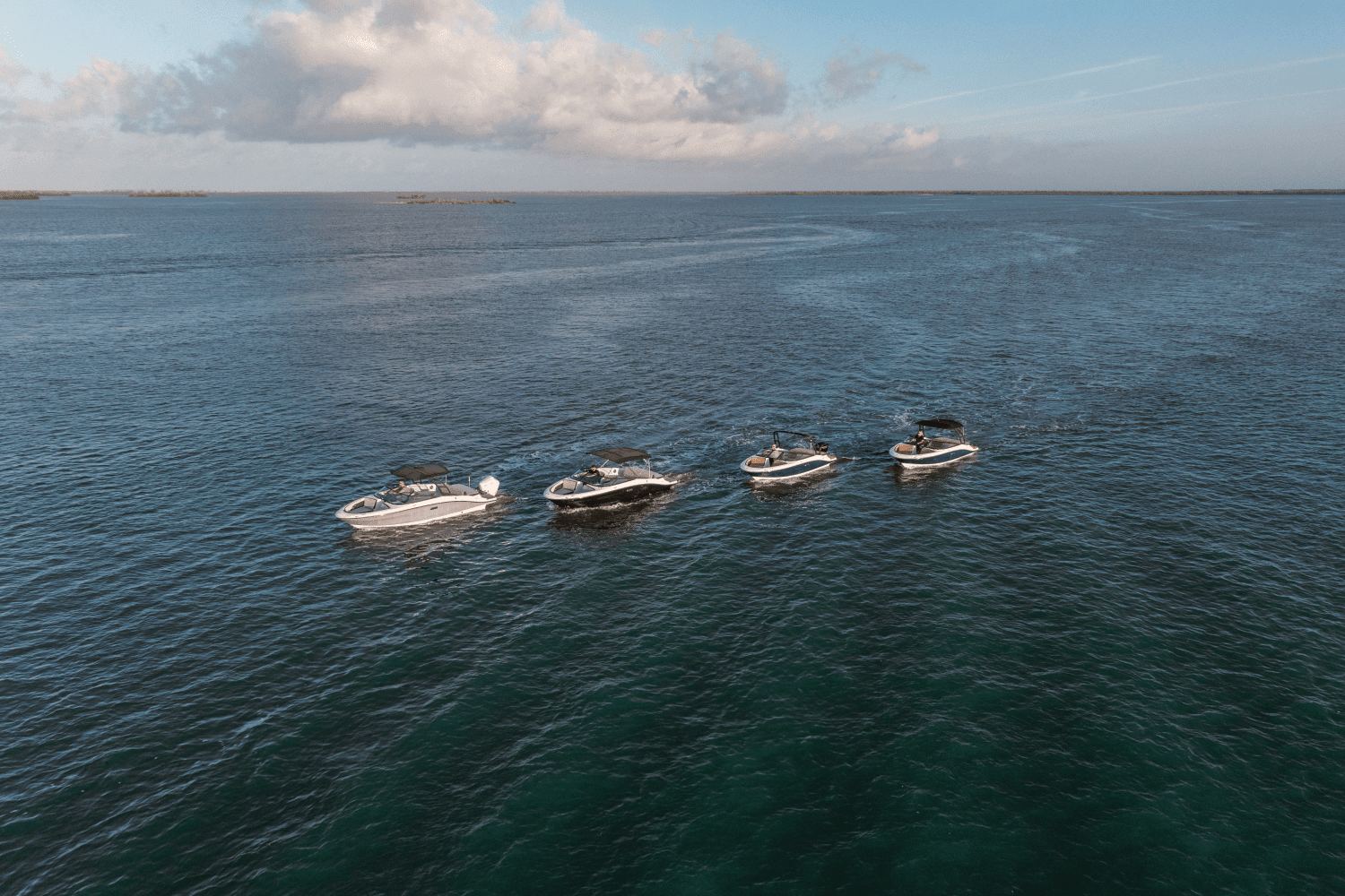 2025 Sea Ray SPX 190 Outboard Image Thumbnail #53