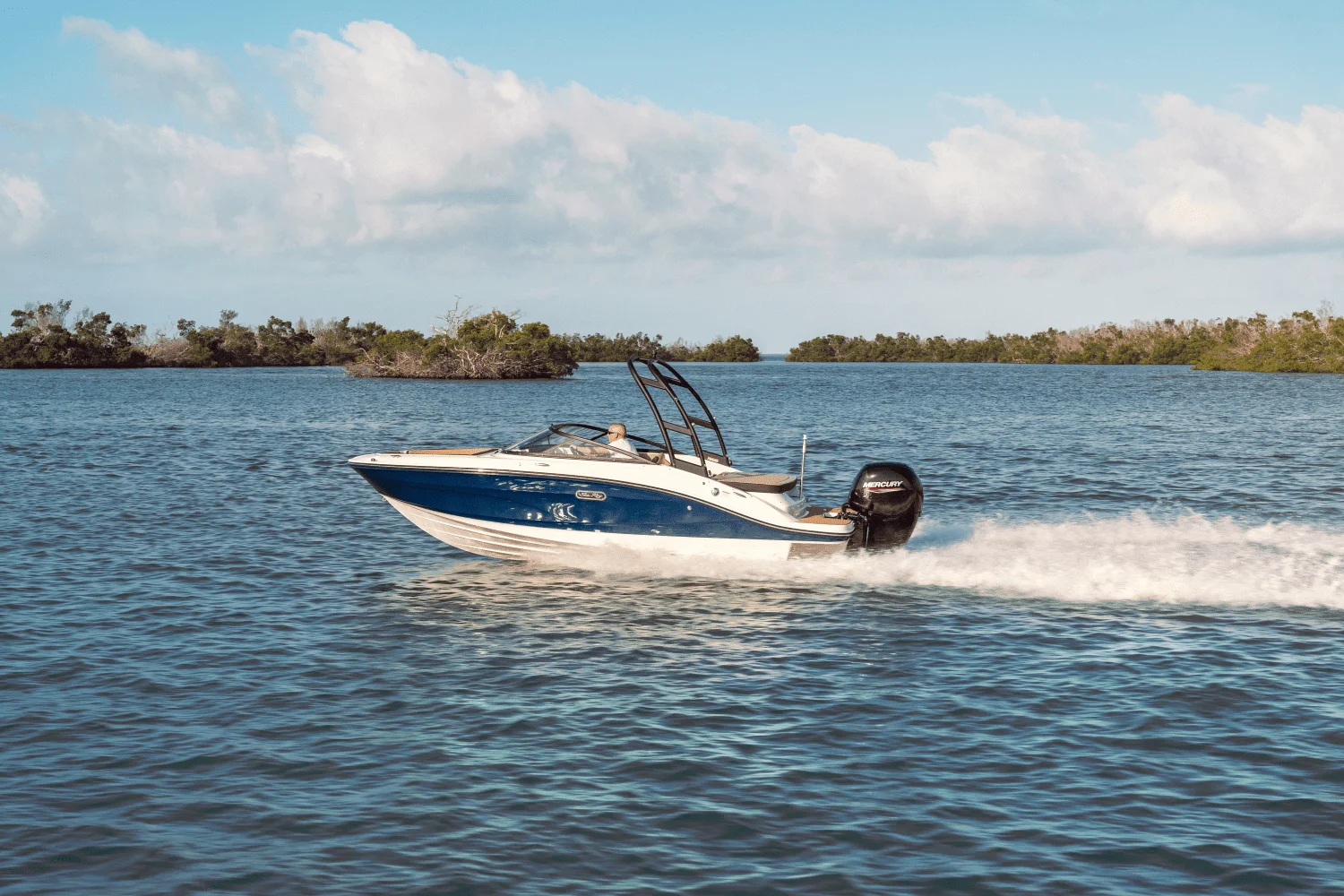 2026 Sea Ray SPX 190 Outboard Image Thumbnail #44