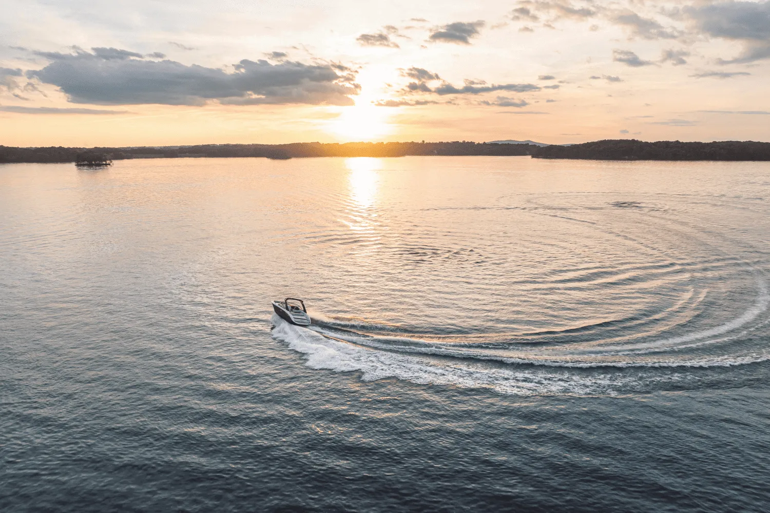 2026 Sea Ray SDX 250 Image Thumbnail #5