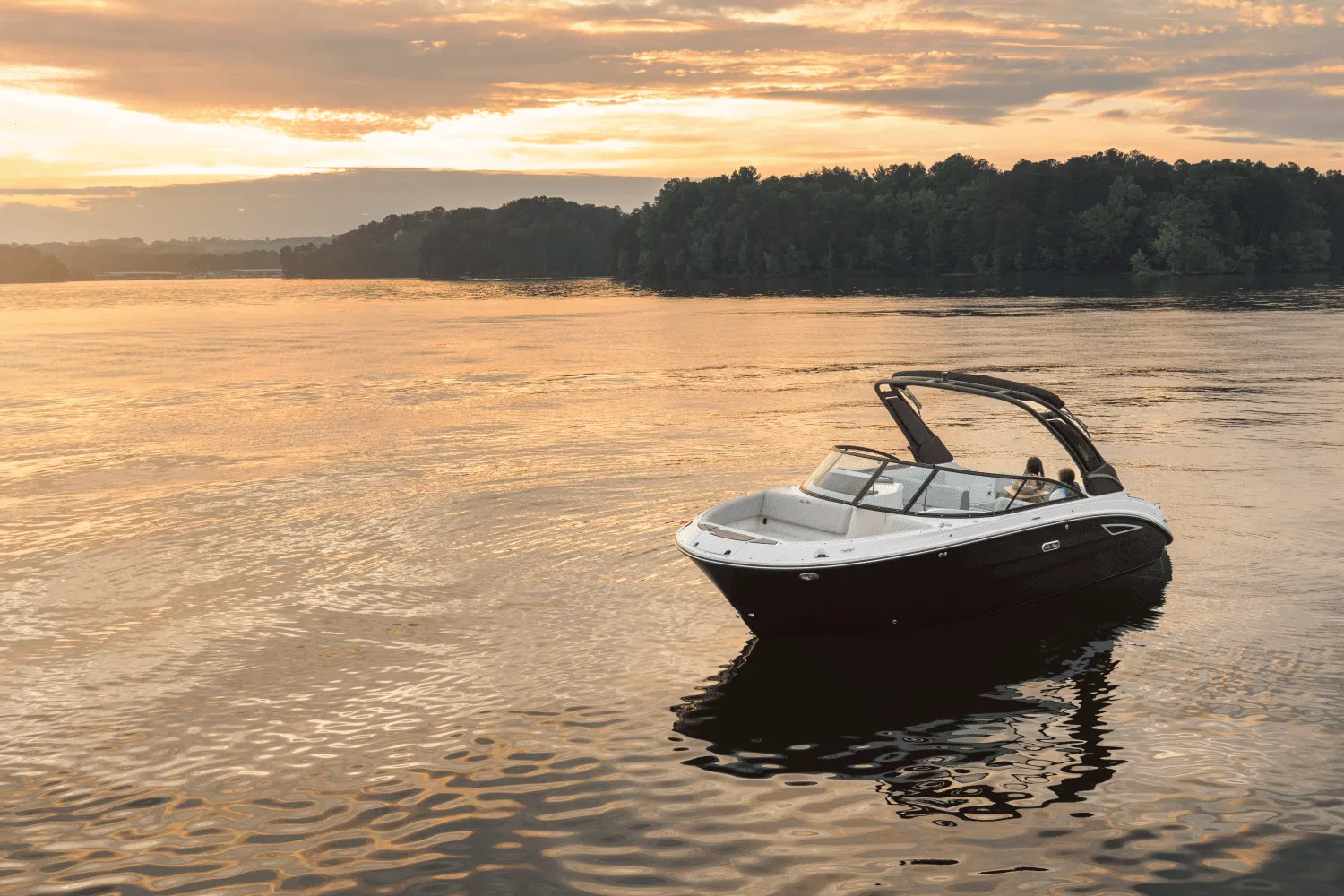 2026 Sea Ray SDX 250 Image Thumbnail #1