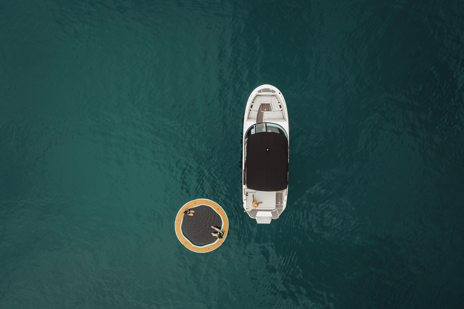 2025 Sea Ray 250 SDX Image Thumbnail #76