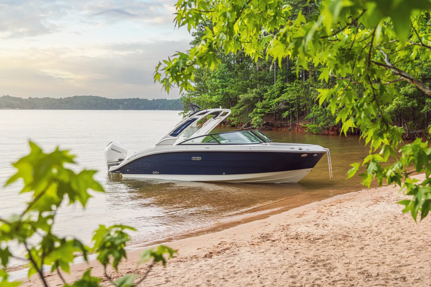 2026 Sea Ray SDX 250 Outboard Image Thumbnail #41
