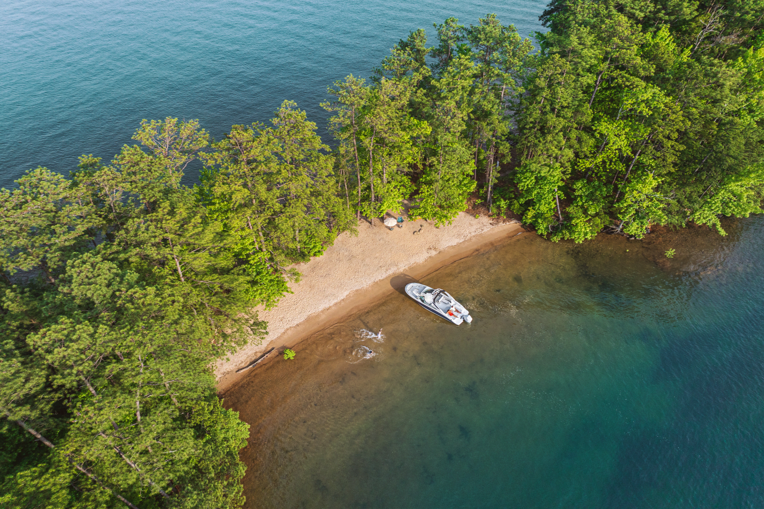 2026 Sea Ray SDX 250 Outboard Image Thumbnail #24