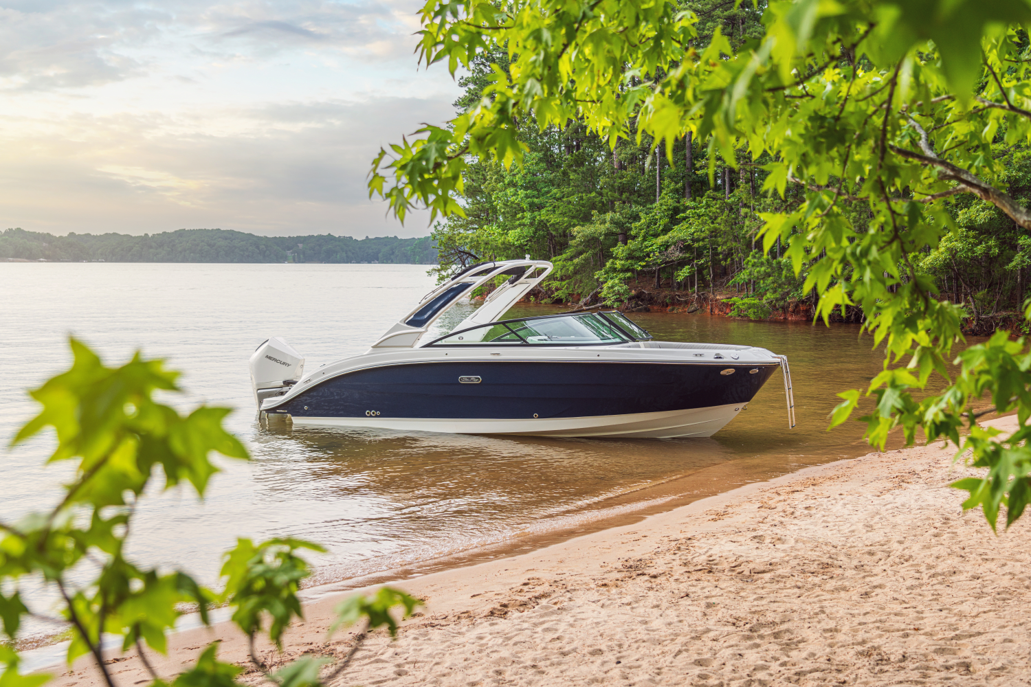 2026 Sea Ray SDX 250 Outboard Image Thumbnail #41