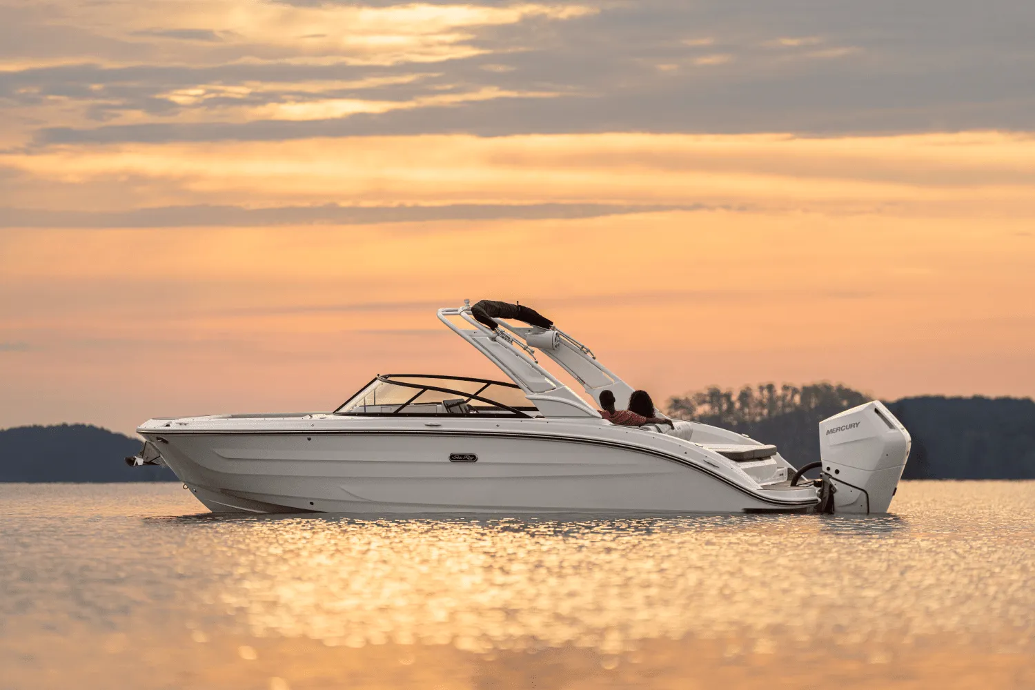 2025 Sea Ray SDX 270 Outboard Image Thumbnail #38