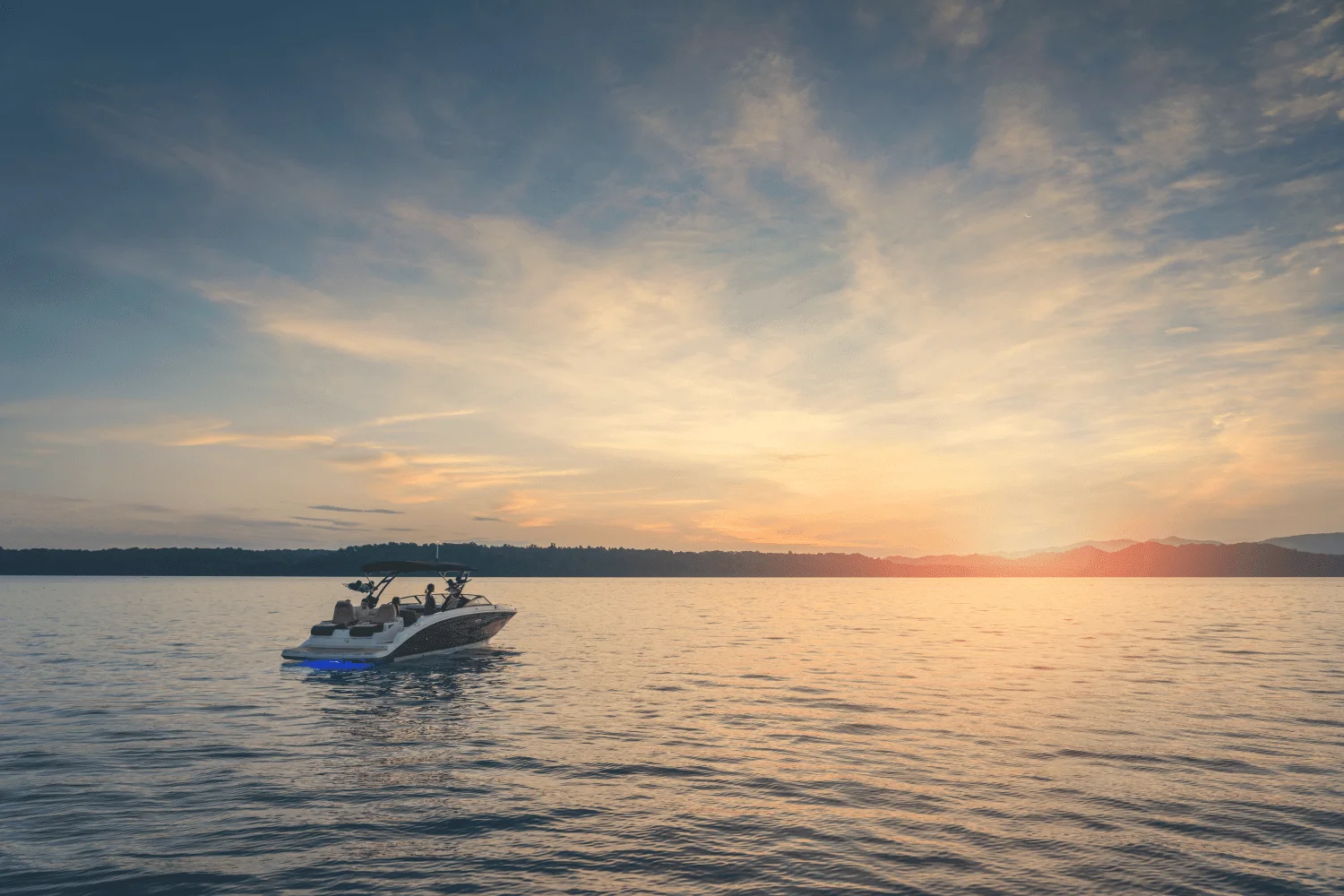 2026 Sea Ray SDX 290 Image Thumbnail #4