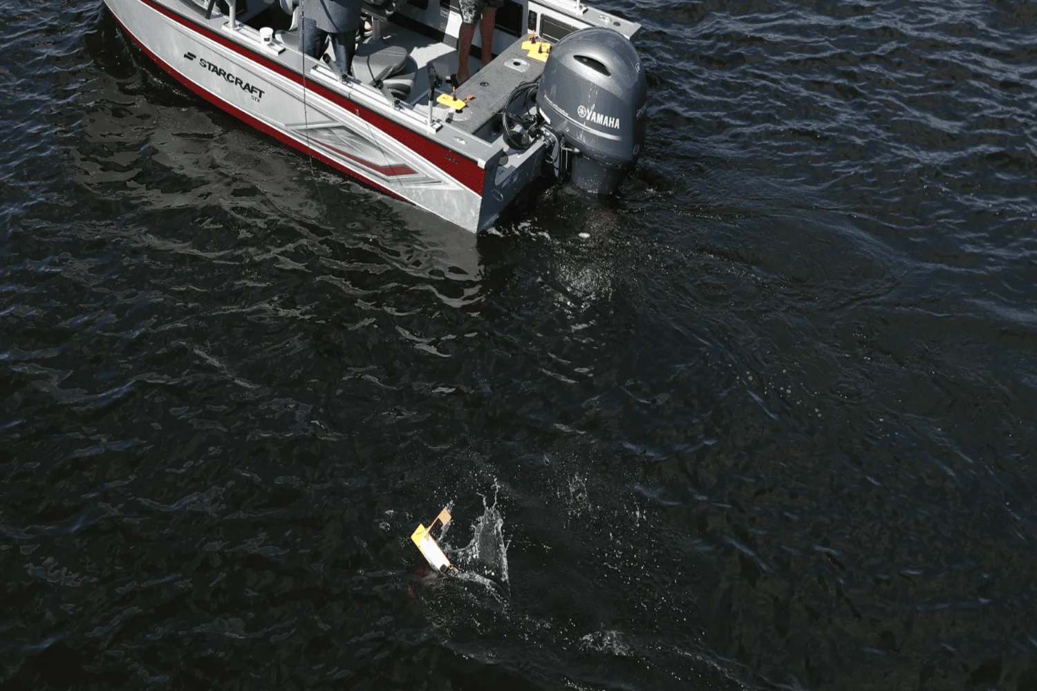 2025 Starcraft STX Image Thumbnail #6