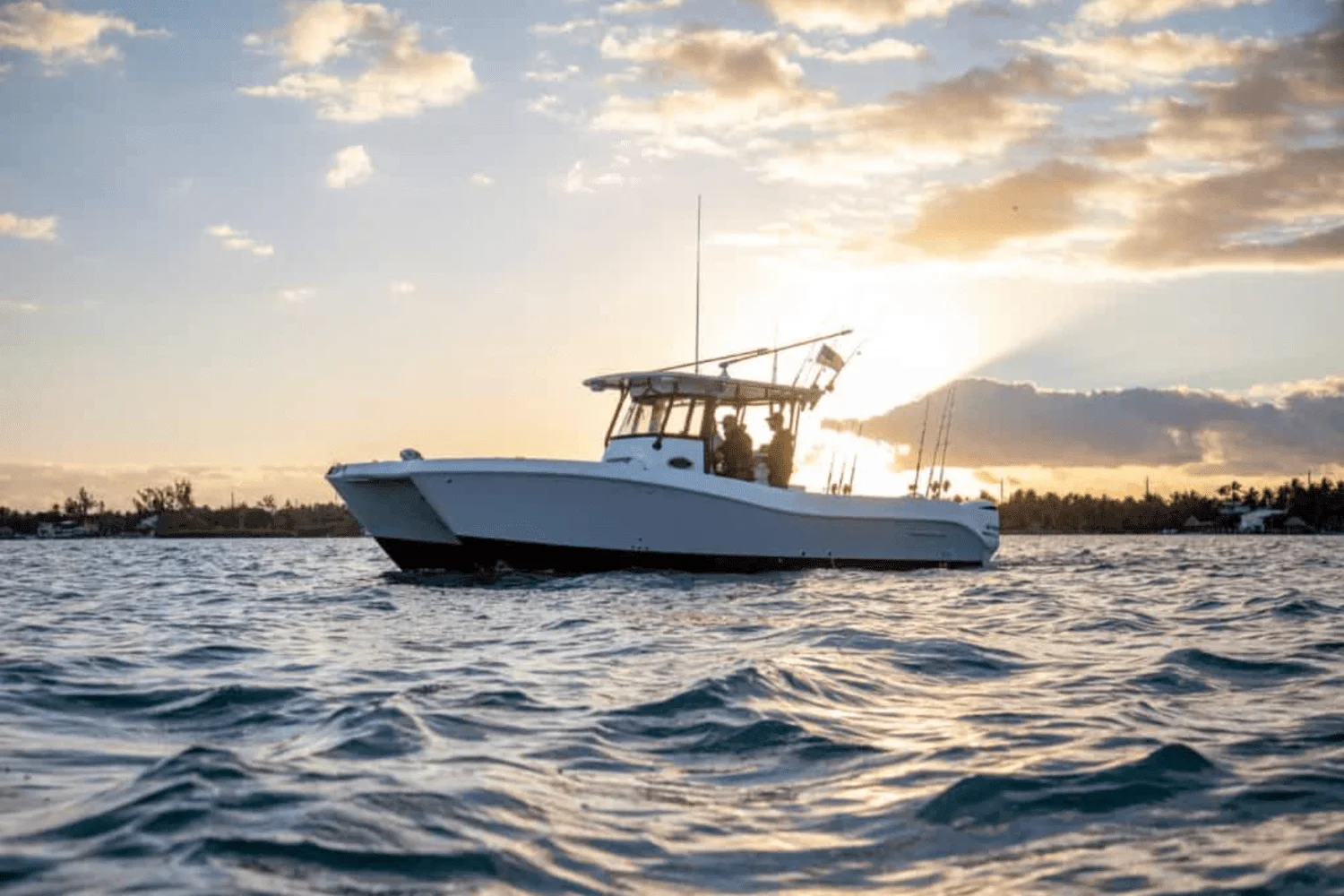 2025 World Cat 325CC Image Thumbnail #12