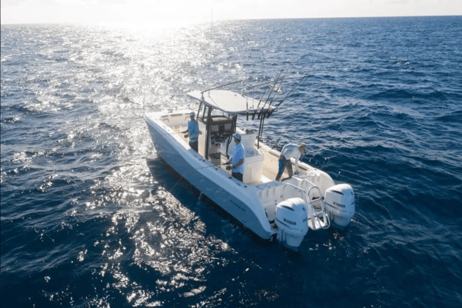 2025 World Cat 325CC Image Thumbnail #9