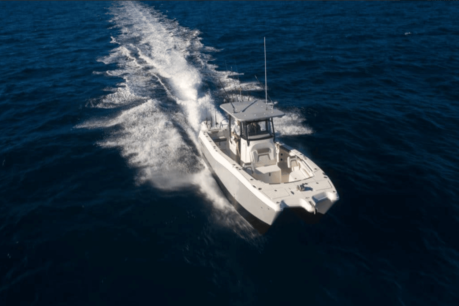 2025 World Cat 325CC Image Thumbnail #4