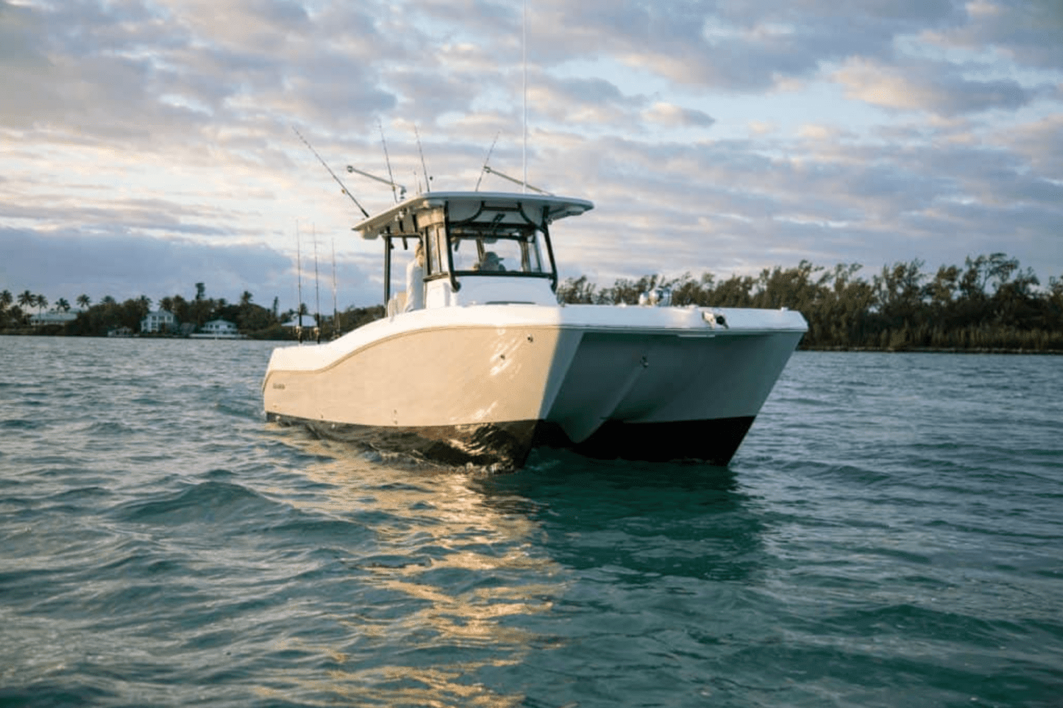 2025 World Cat 325CC Image Thumbnail #13