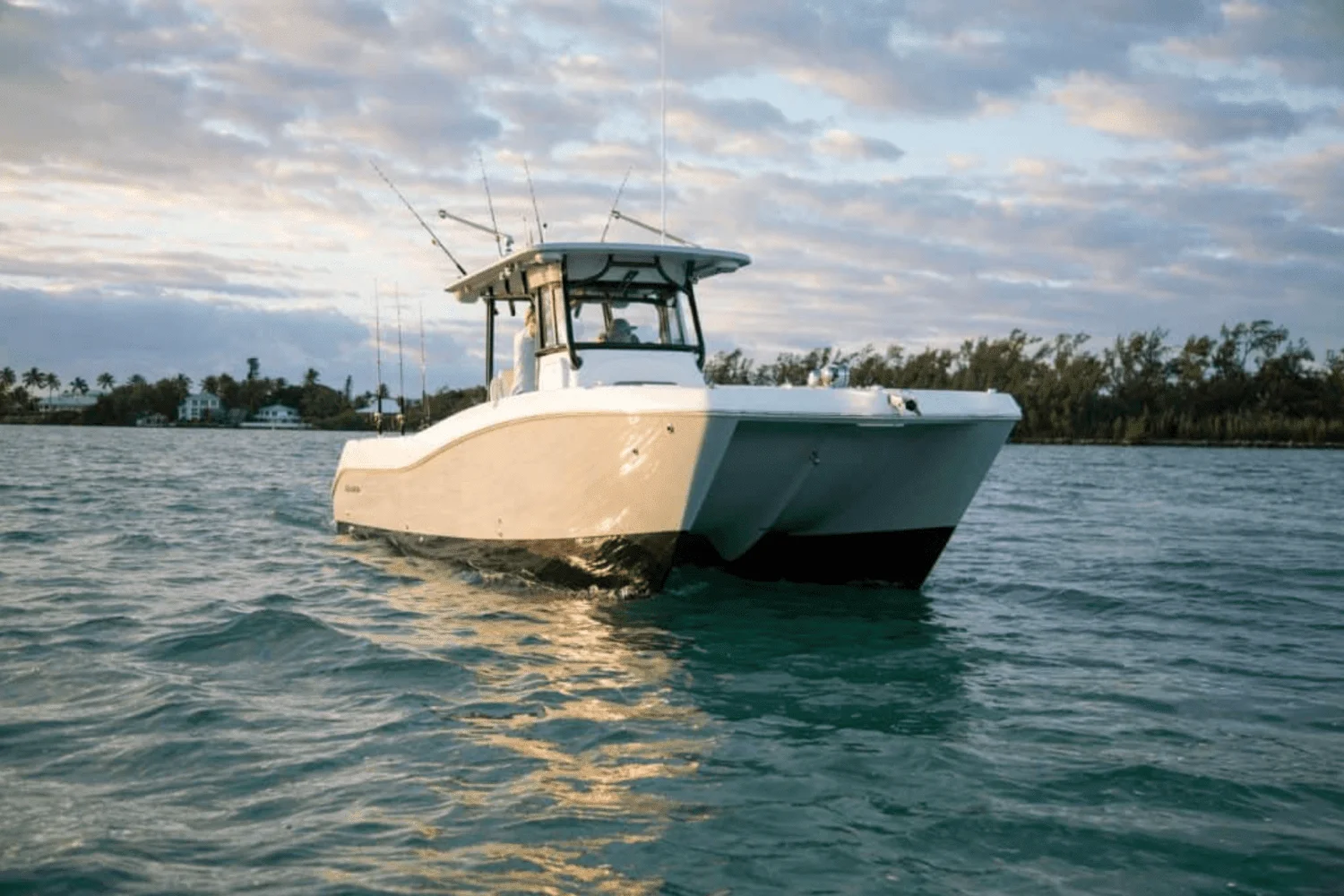 2025 World Cat 325CC Image Thumbnail #13