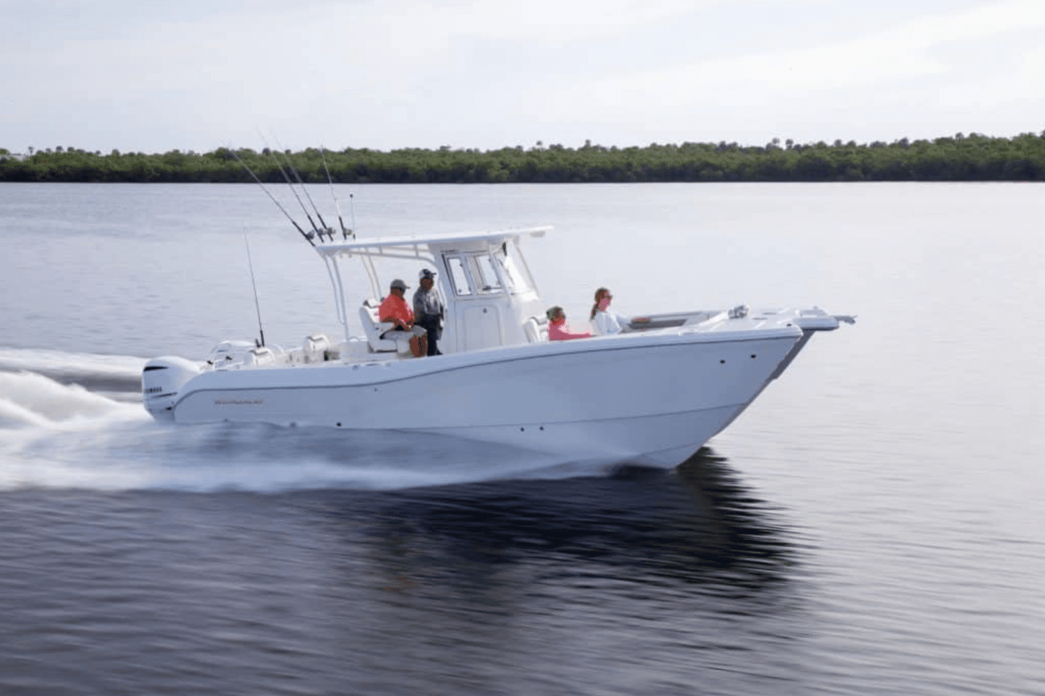 2025 World Cat 295CC Image Thumbnail #14