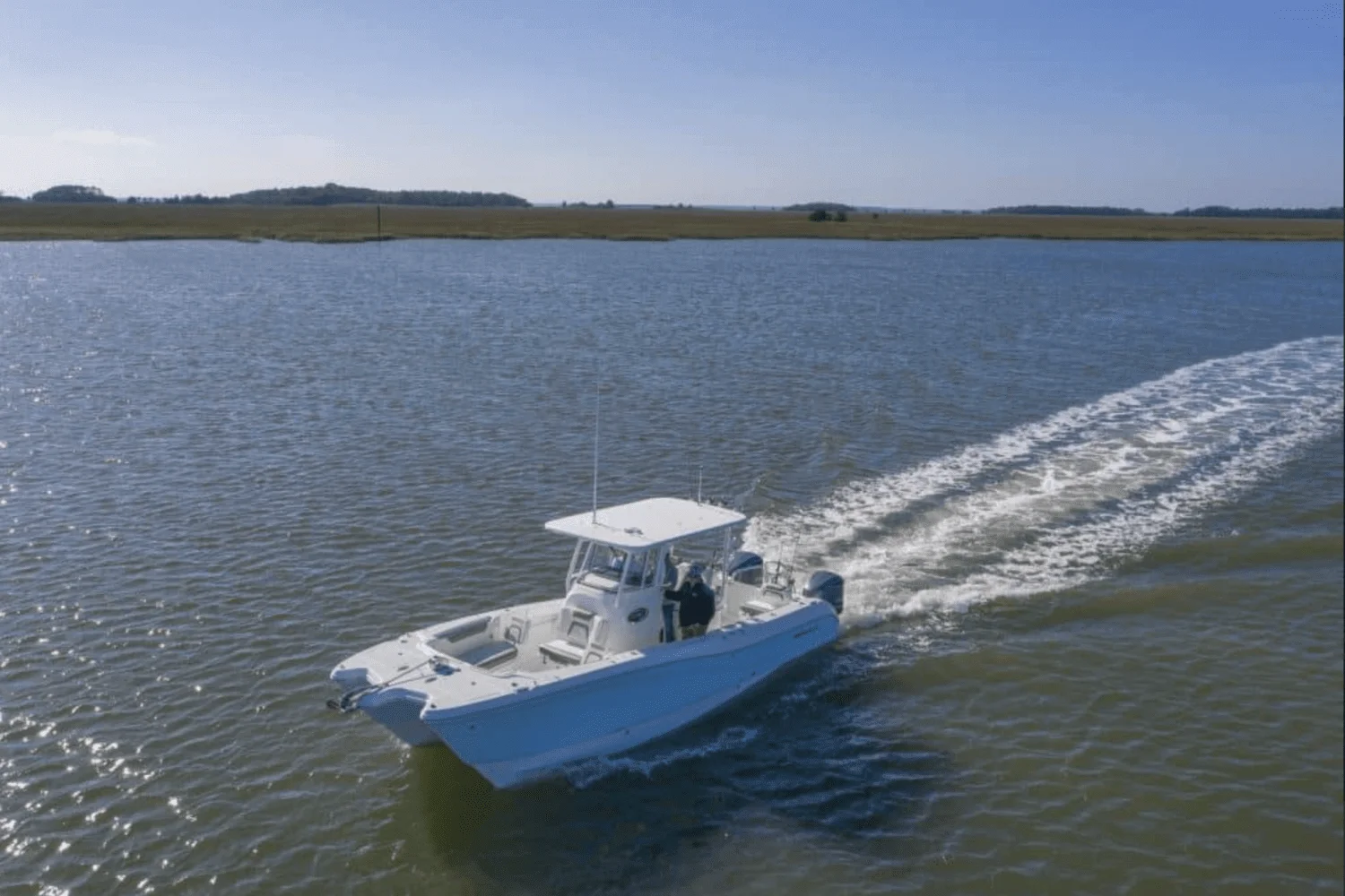 2025 World Cat 295CC Image Thumbnail #3