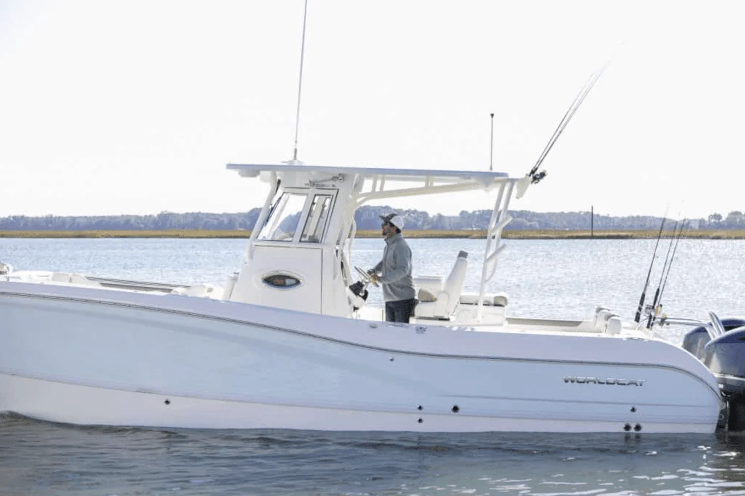 2025 World Cat 295CC Image Thumbnail #6