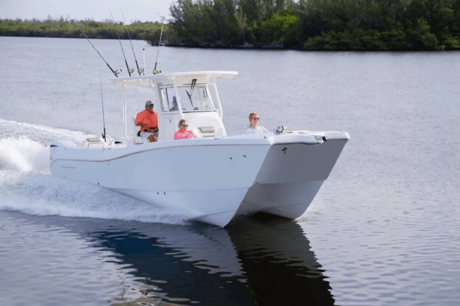 2025 World Cat 295CC Image Thumbnail #15