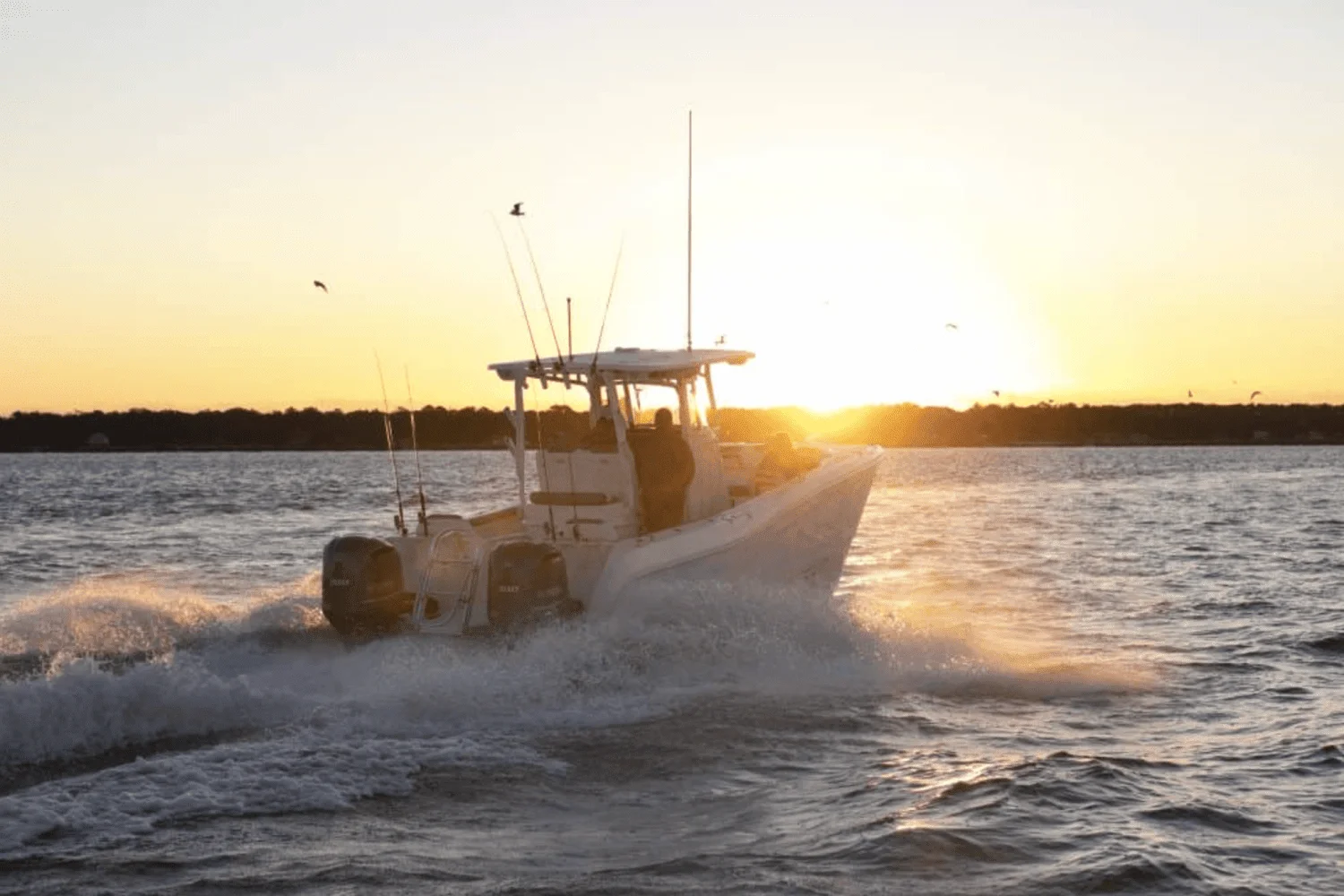 2025 World Cat 295CC Image Thumbnail #4