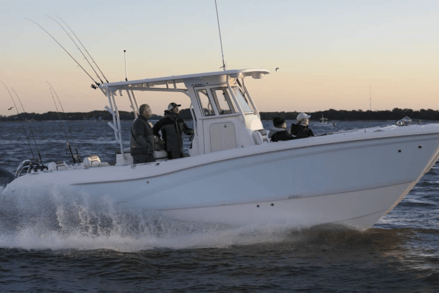 2025 World Cat 295CC Image Thumbnail #1