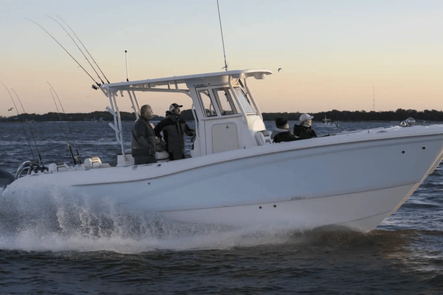 2025 World Cat 295CC Image Thumbnail #1