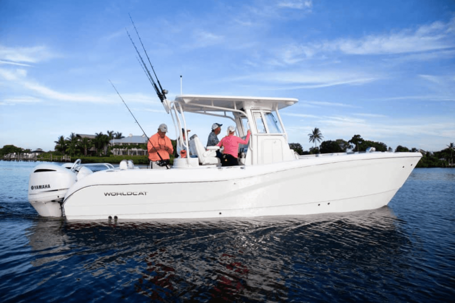 2025 World Cat 295CC Image Thumbnail #8