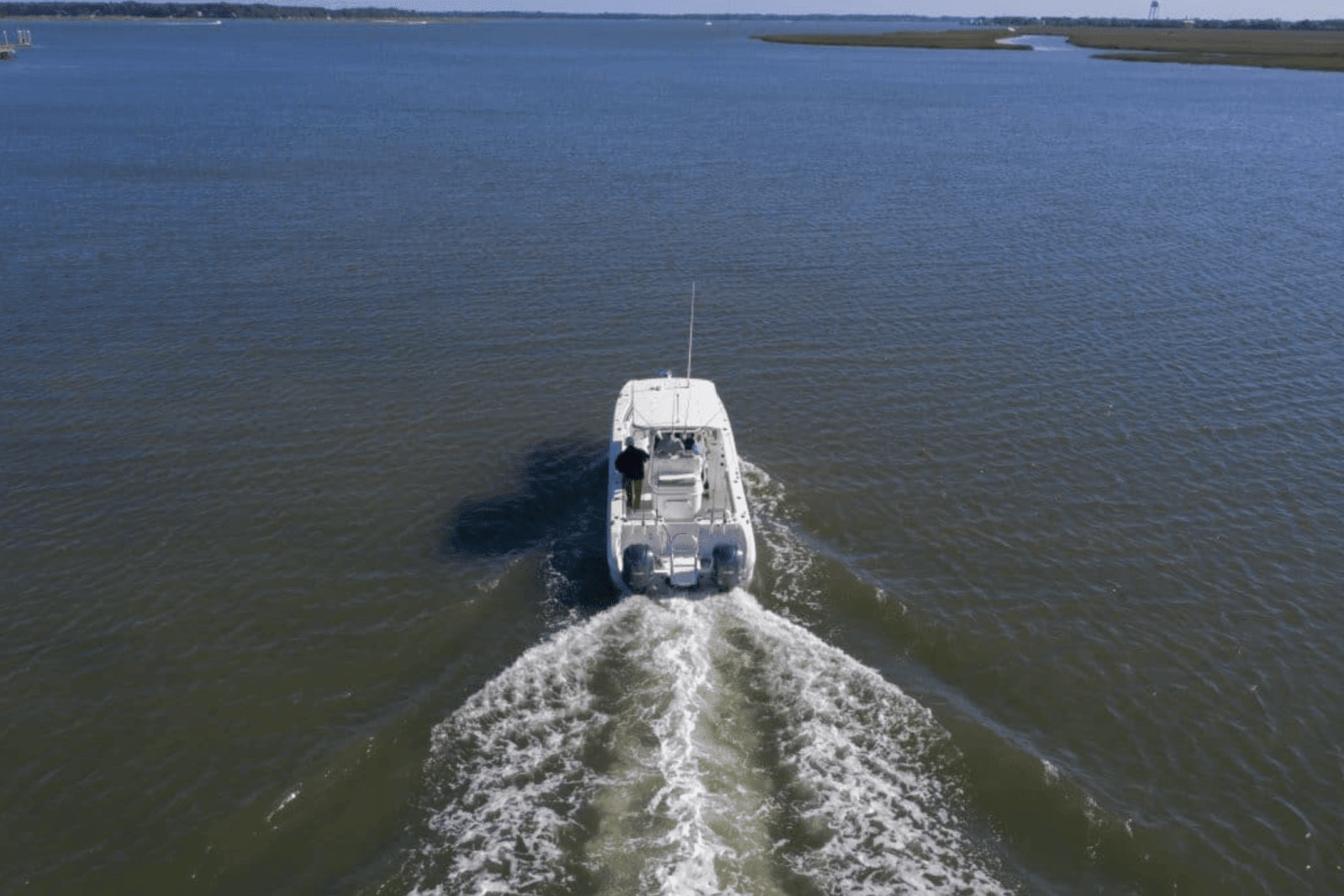 2025 World Cat 295CC Image Thumbnail #5