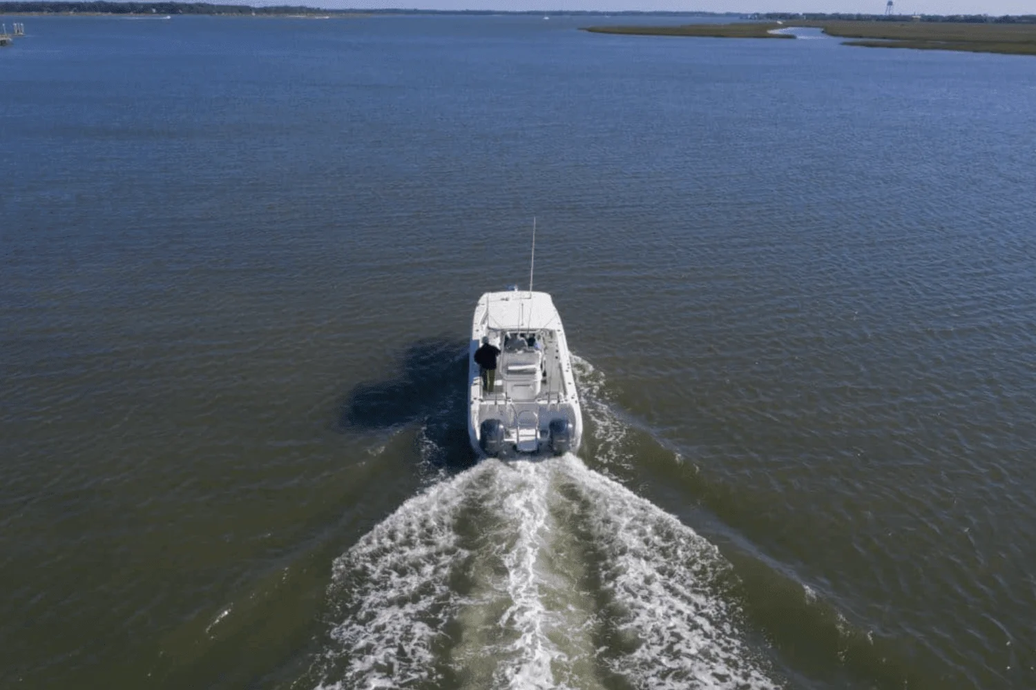 2025 World Cat 295CC Image Thumbnail #5