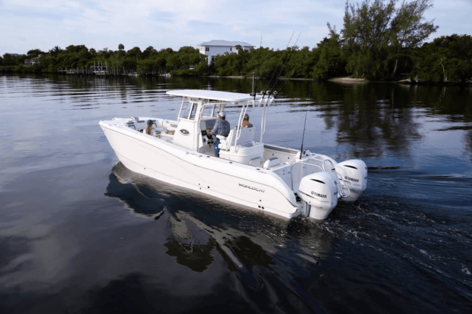 2025 World Cat 295CC Image Thumbnail #10