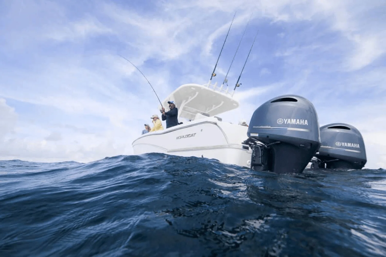 2025 World Cat 280CC-X Image Thumbnail #10