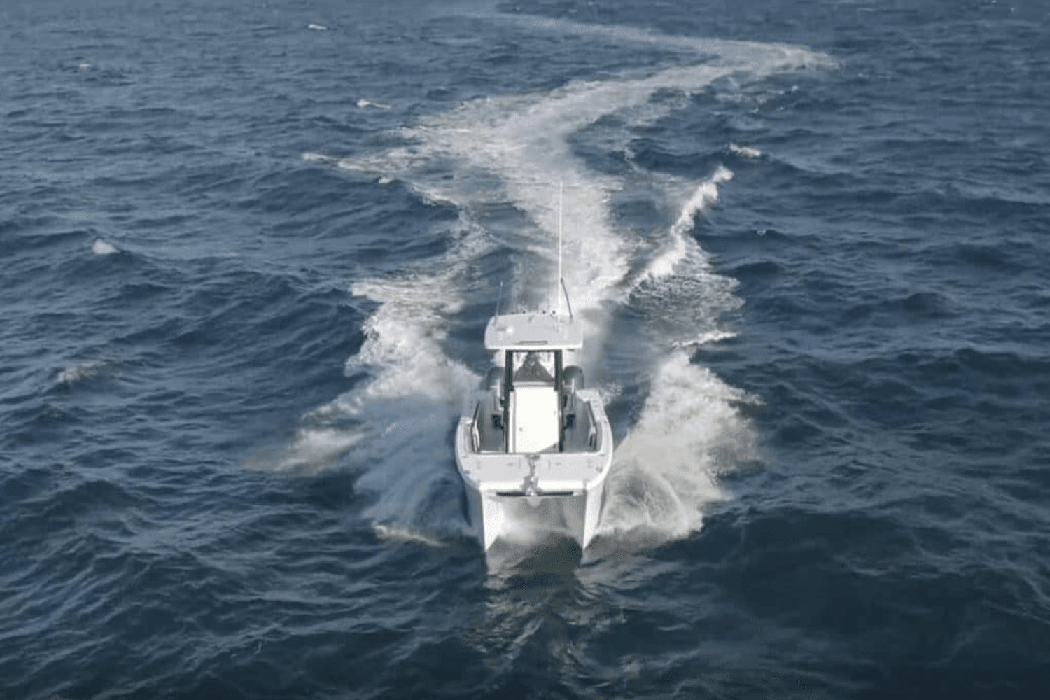 2025 World Cat 260CC-X Image Thumbnail #8