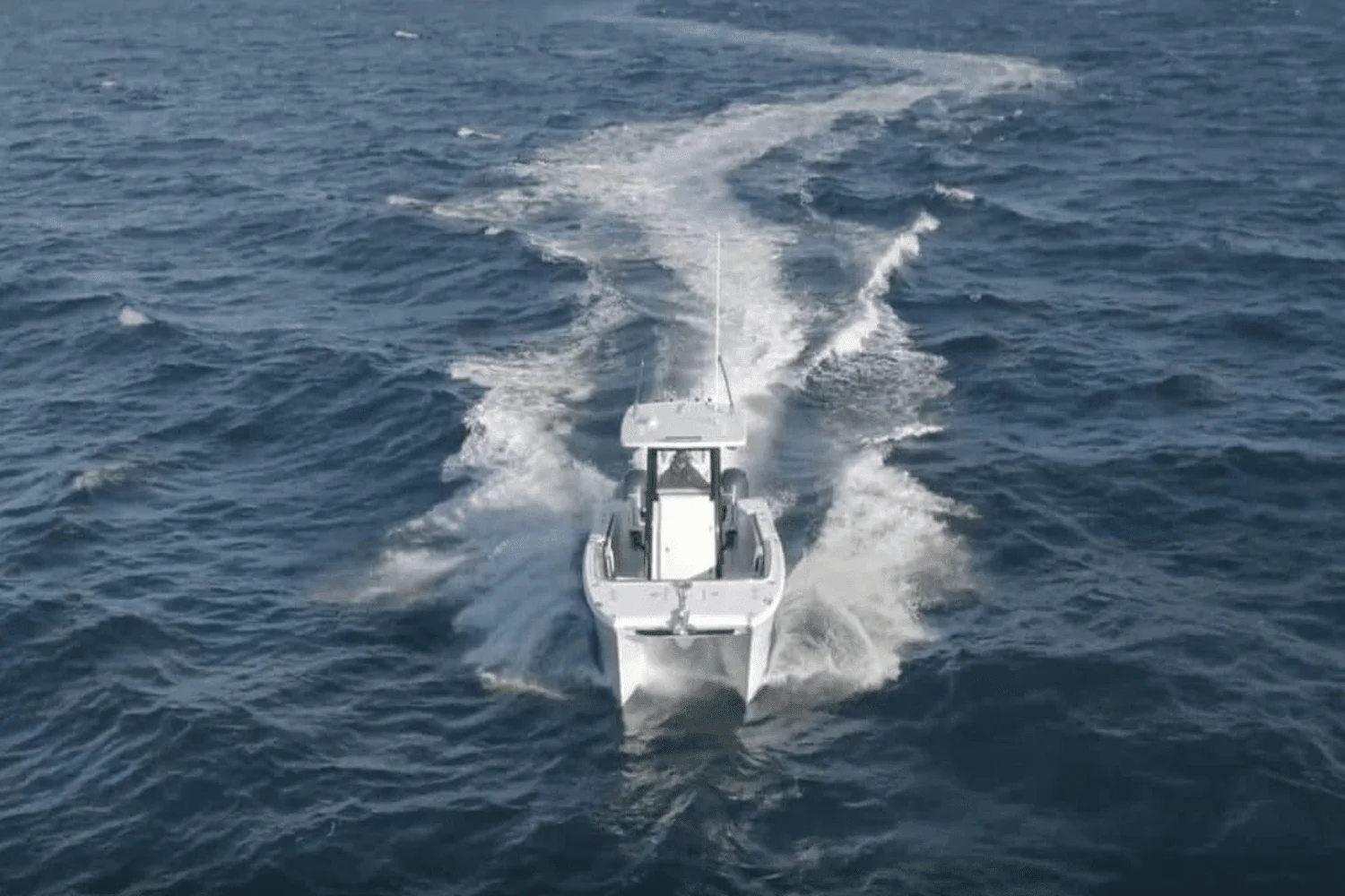 2025 World Cat 260CC-X Image Thumbnail #8