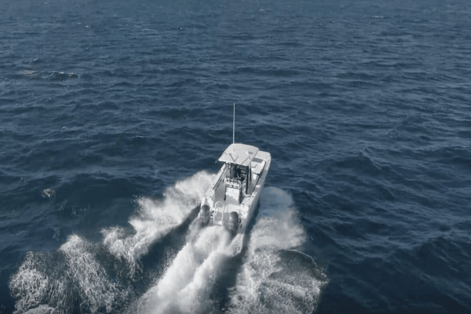 2025 World Cat 260CC-X Image Thumbnail #1