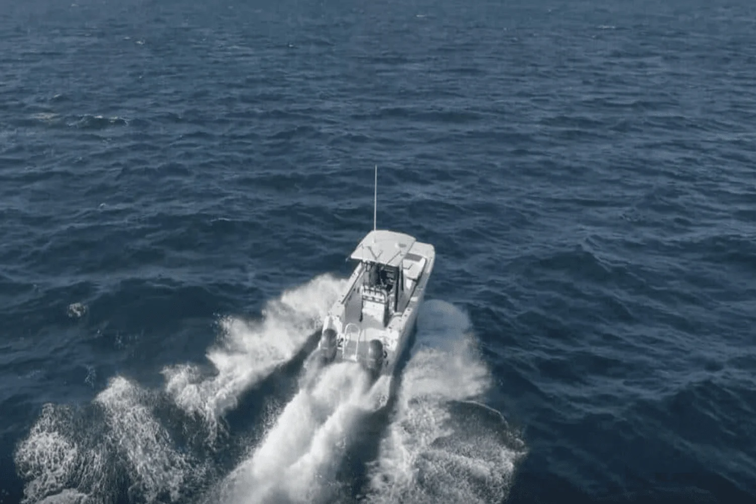 2025 World Cat 260CC-X Image Thumbnail #1