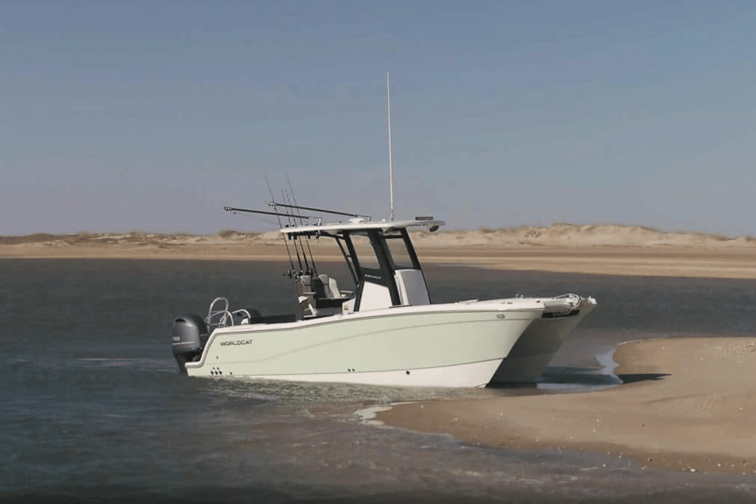 2025 World Cat 260CC-X Image Thumbnail #12