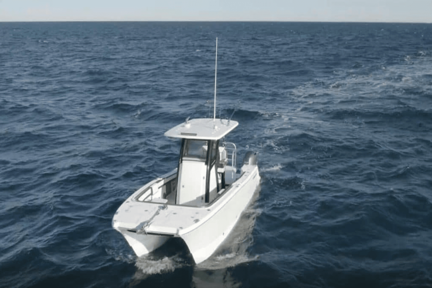 2025 World Cat 260CC-X Image Thumbnail #6