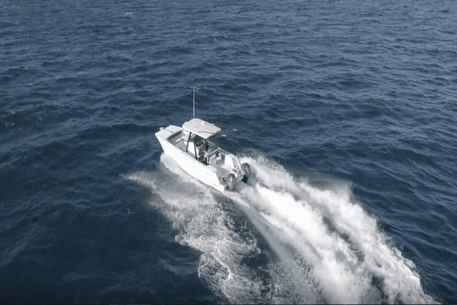 2025 World Cat 260CC-X Image Thumbnail #2