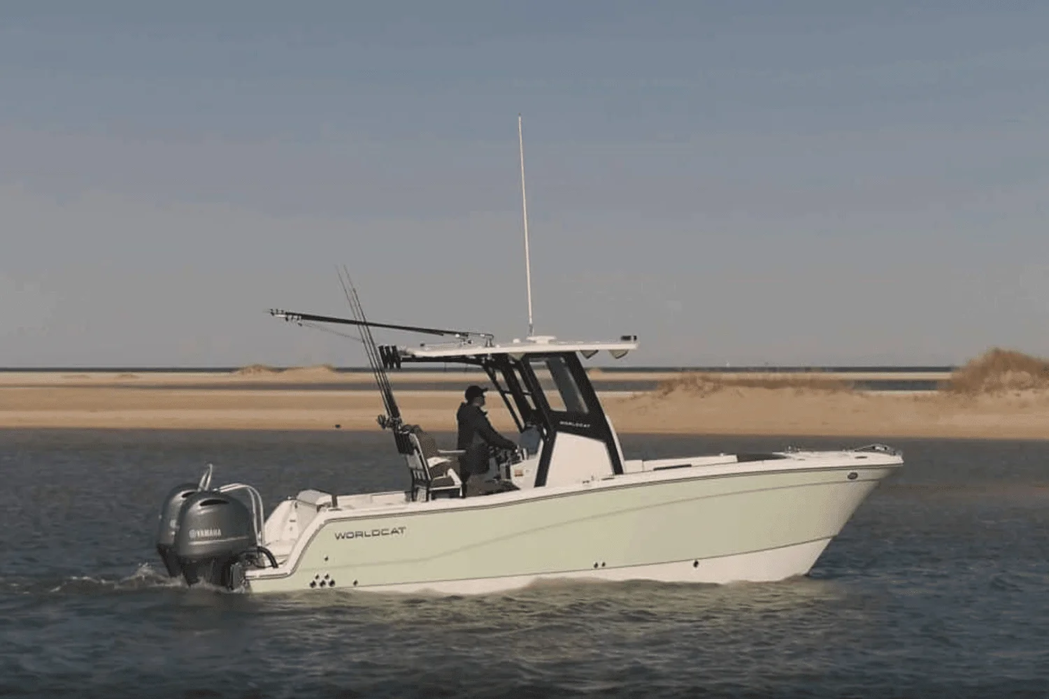 2025 World Cat 260CC-X Image Thumbnail #11