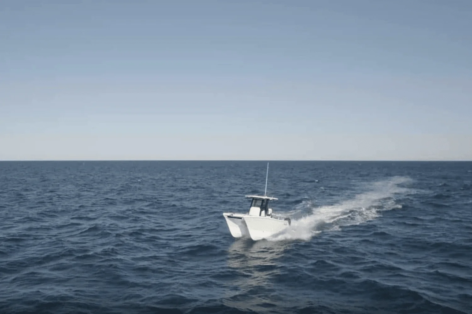 2025 World Cat 260CC-X Image Thumbnail #7