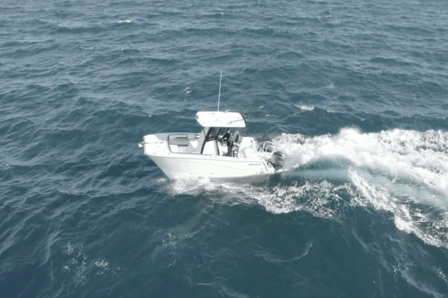 2025 World Cat 260CC-X Image Thumbnail #5