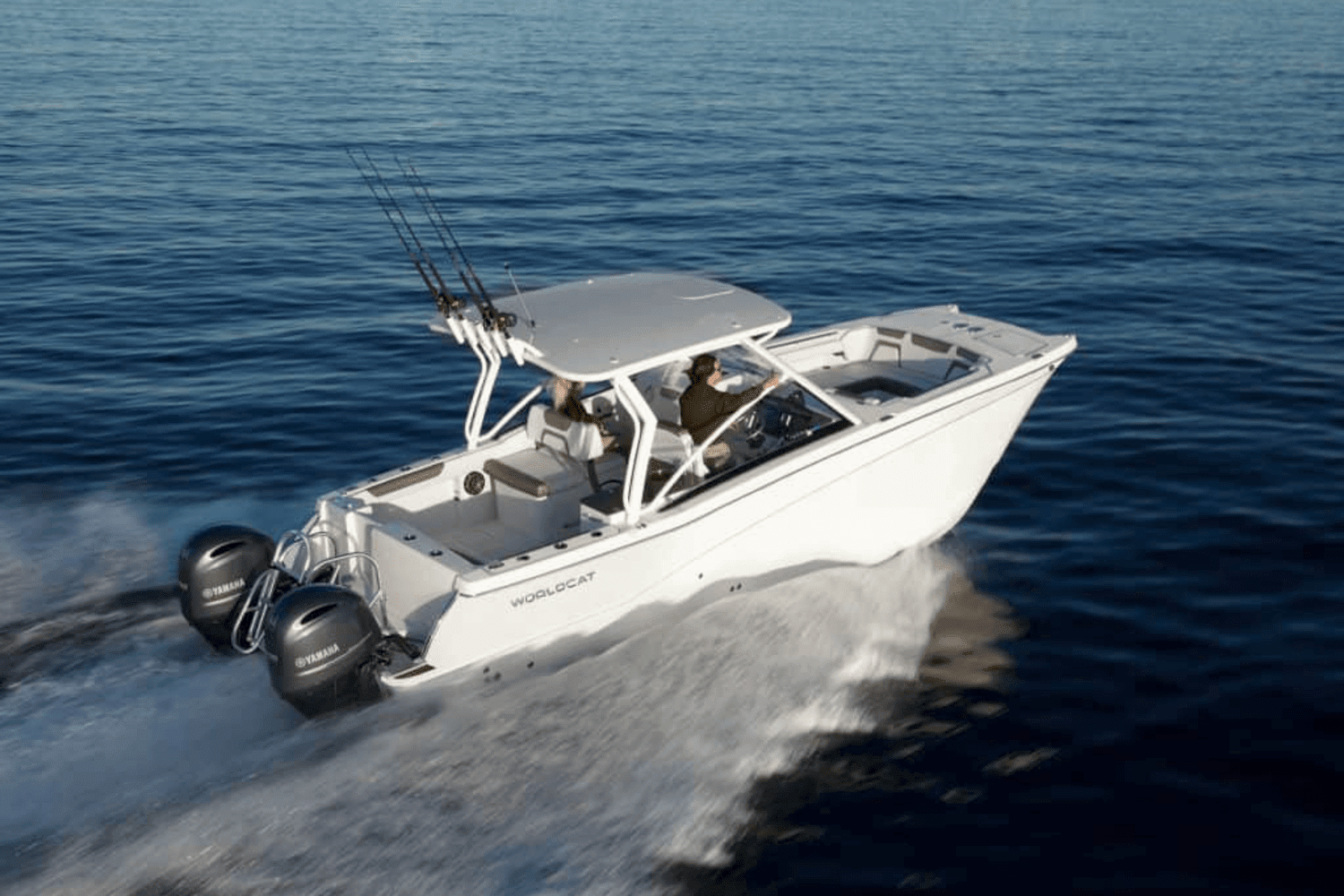 2025 World Cat 290DC-X Image Thumbnail #3