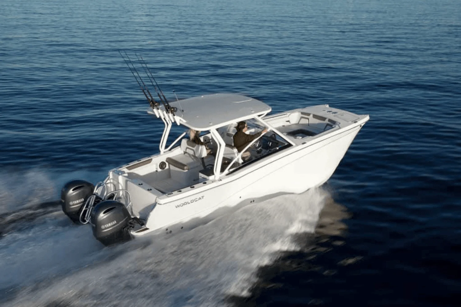 2025 World Cat 290DC-X Image Thumbnail #3