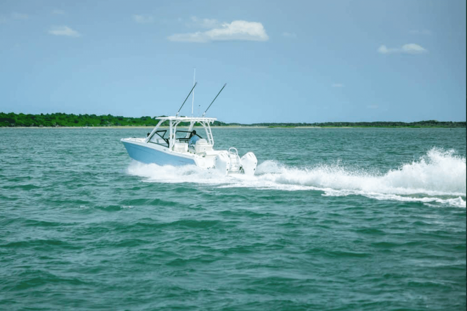 2025 World Cat 260DC-X Image Thumbnail #4