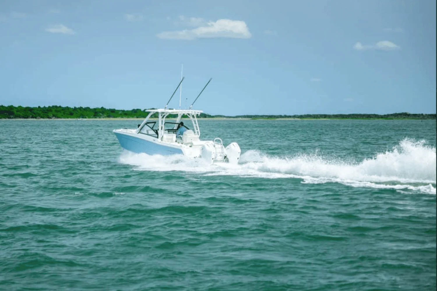 2025 World Cat 260DC-X Image Thumbnail #4