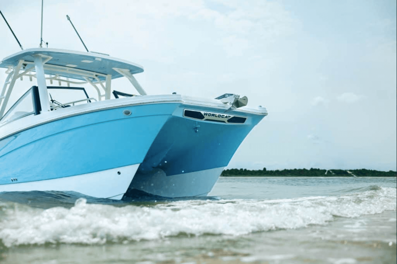 2025 World Cat 260DC-X Image Thumbnail #19