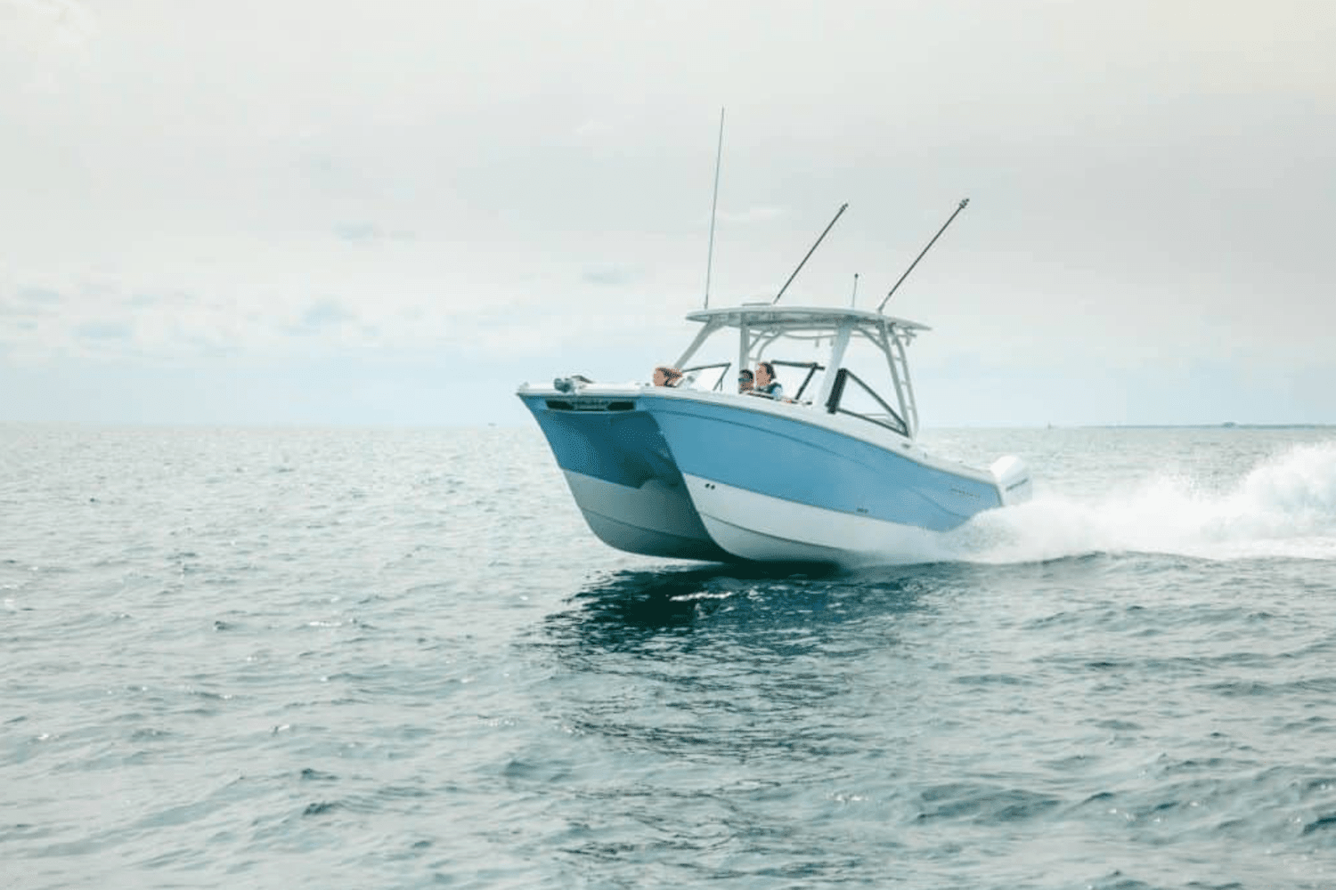 2025 World Cat 260DC-X Image Thumbnail #17