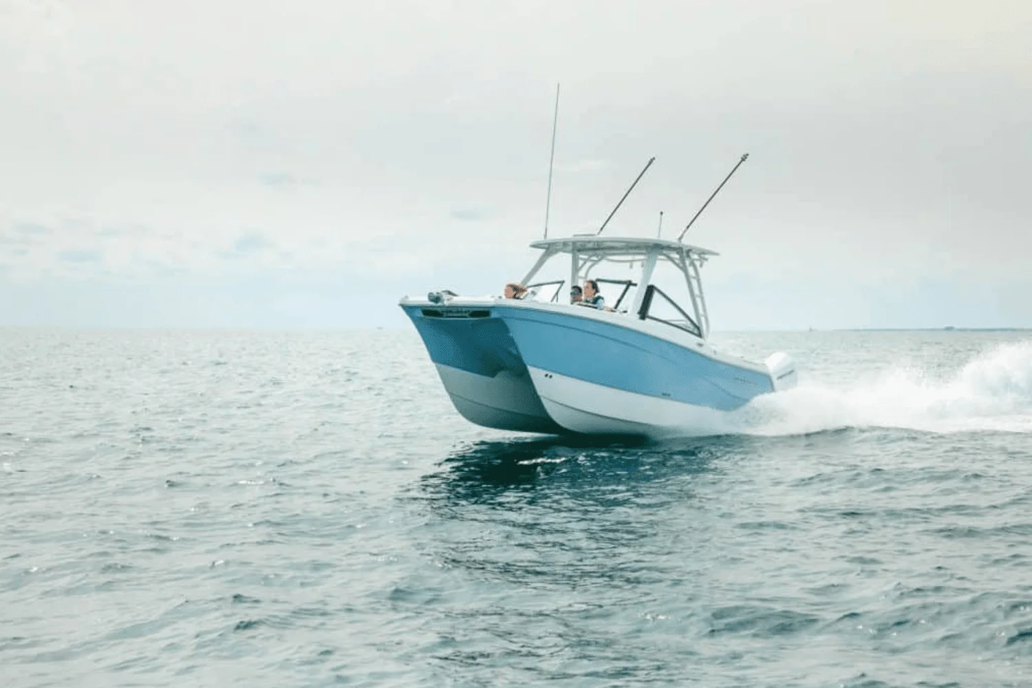 2025 World Cat 260DC-X Image Thumbnail #0