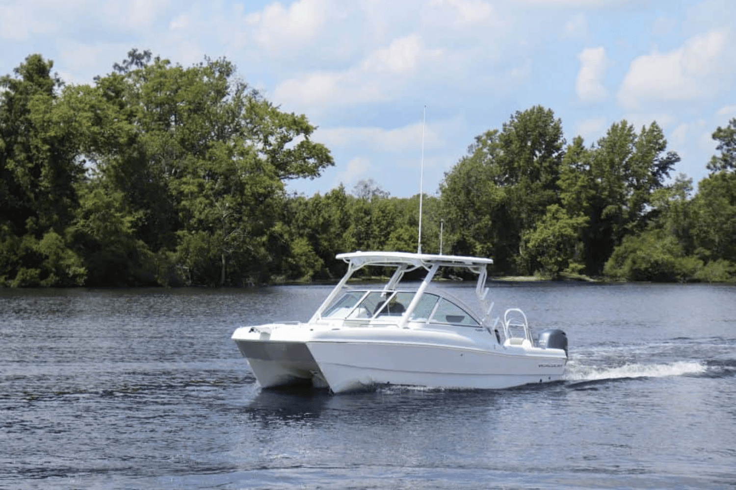 2025 World Cat 230DC Image Thumbnail #0