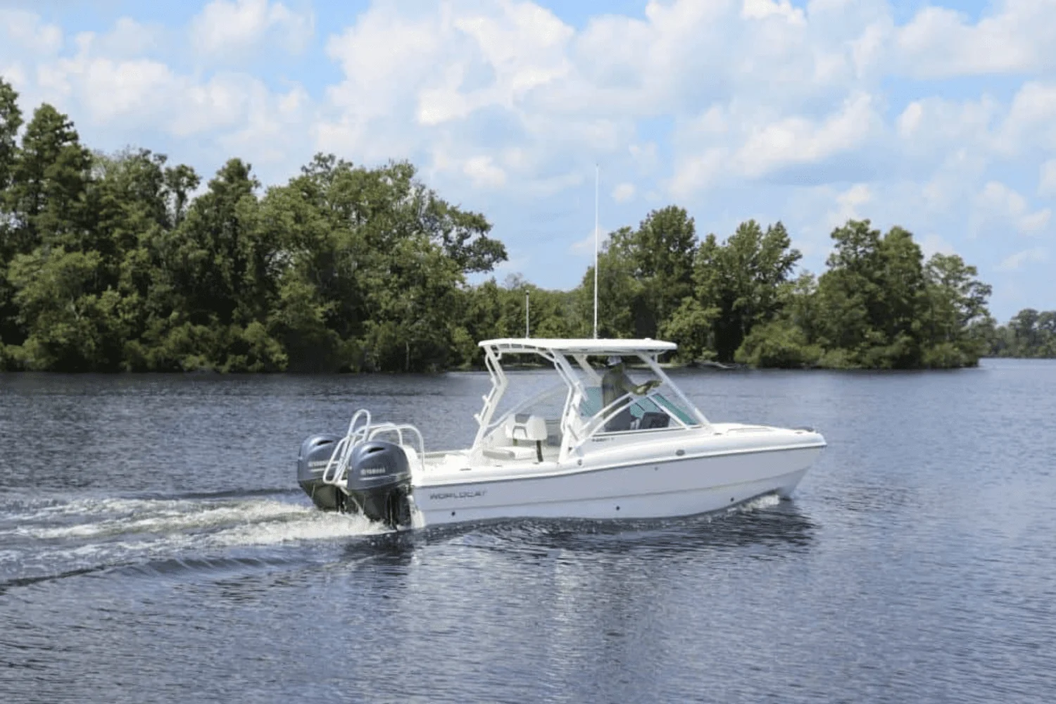 2025 World Cat 230DC Image Thumbnail #4