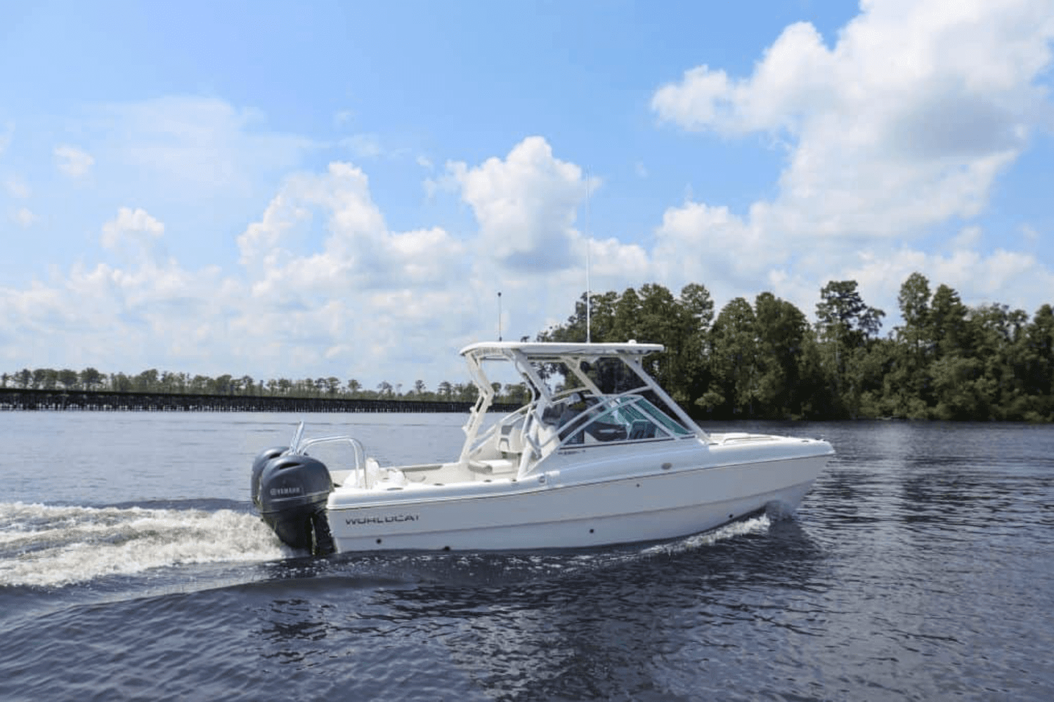 2025 World Cat 230DC Image Thumbnail #5