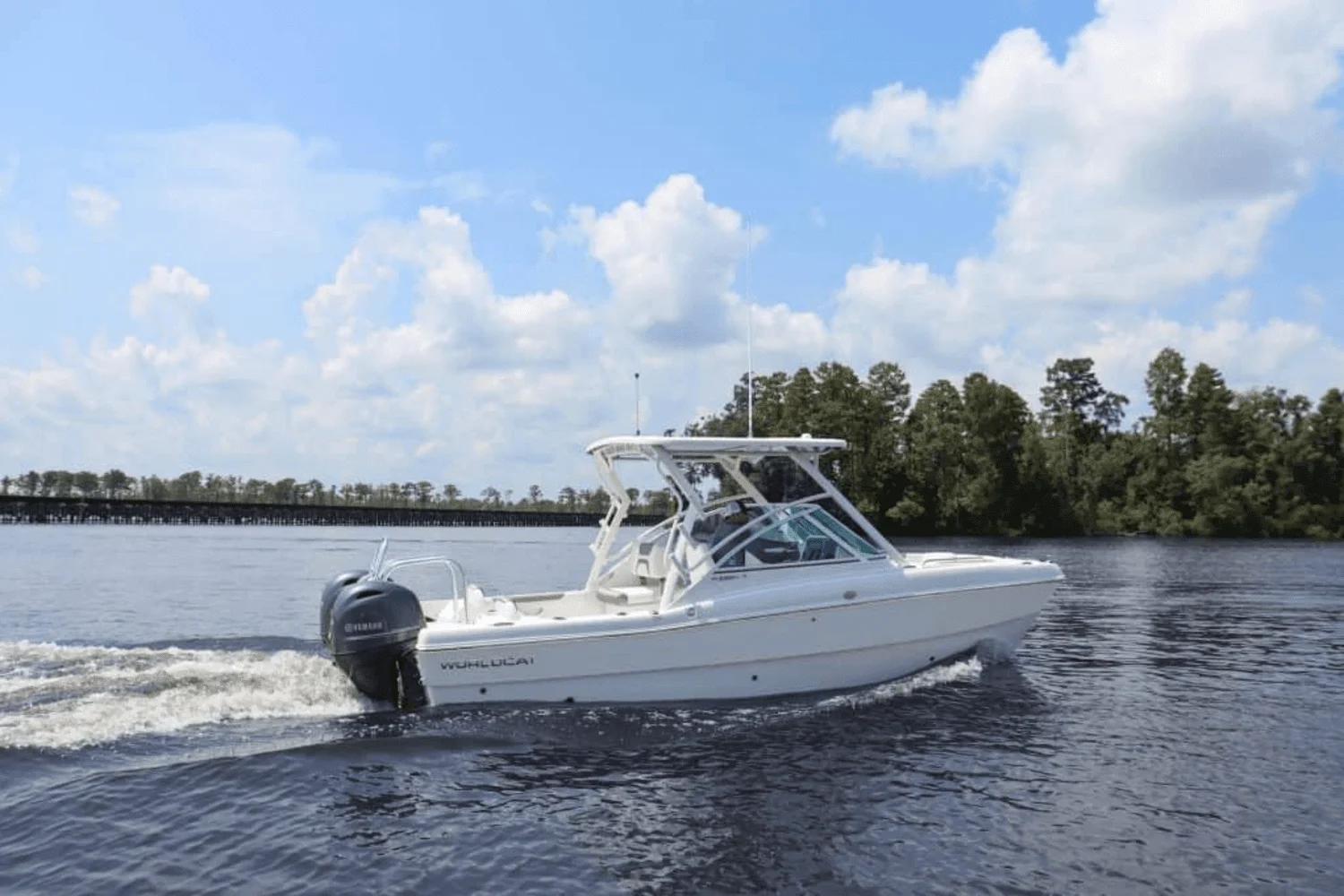 2025 World Cat 230DC Image Thumbnail #5